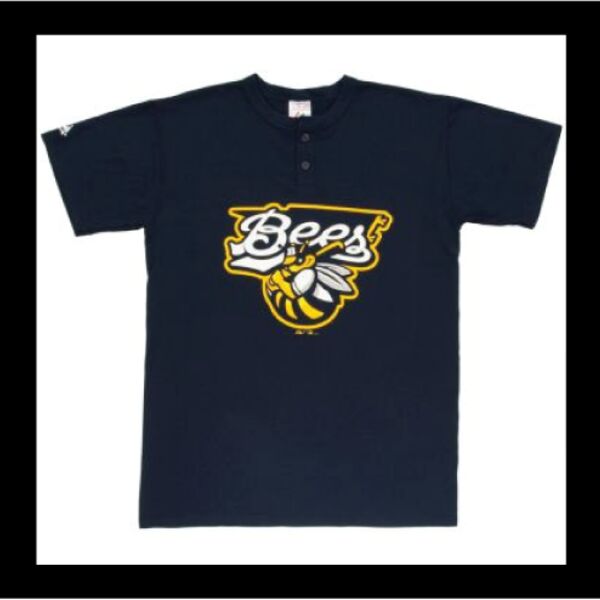 Burlington Bees Thumbnail